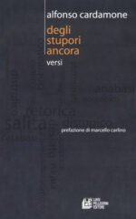 Degli stupori ancora