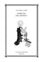 Ferrovie del Messico