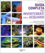 Guida completa agli invertebrati per l'acquario. Caratteristiche ed esigenze delle principali specie di invertebrati per il vostro acquario