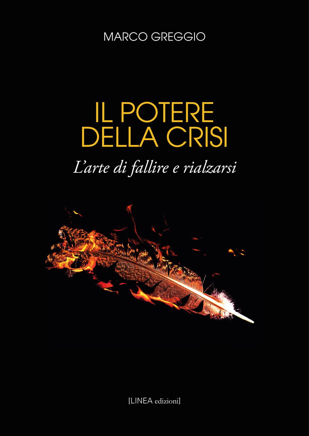 Il potere della crisi. L'arte di fallire e rialzarsi