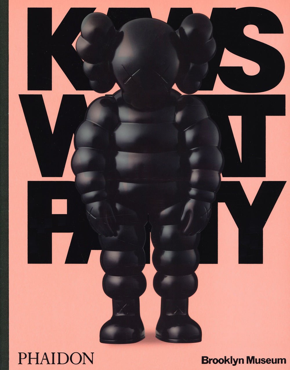KAWS: what party