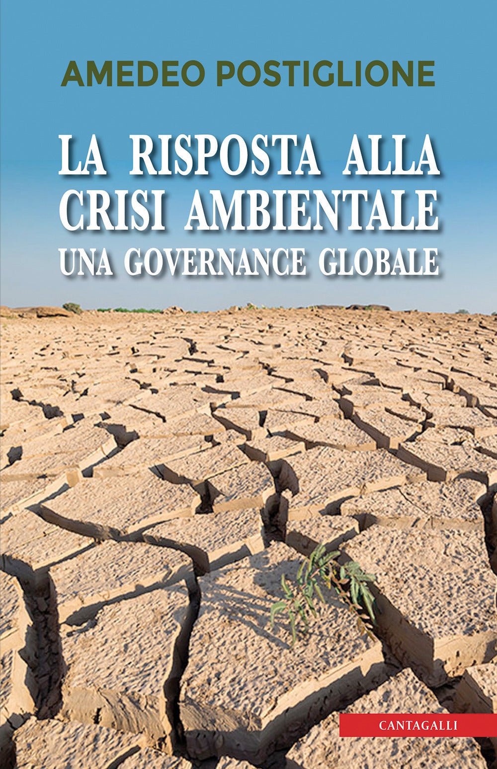 La risposta alla crisi ambientale. Una governance globale