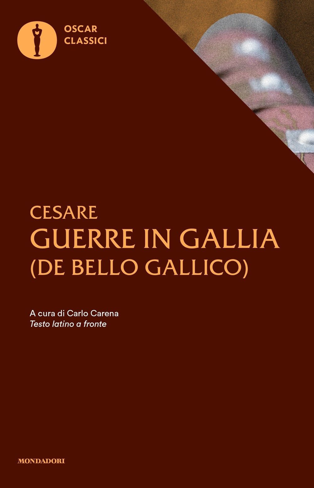 Le guerre in Gallia