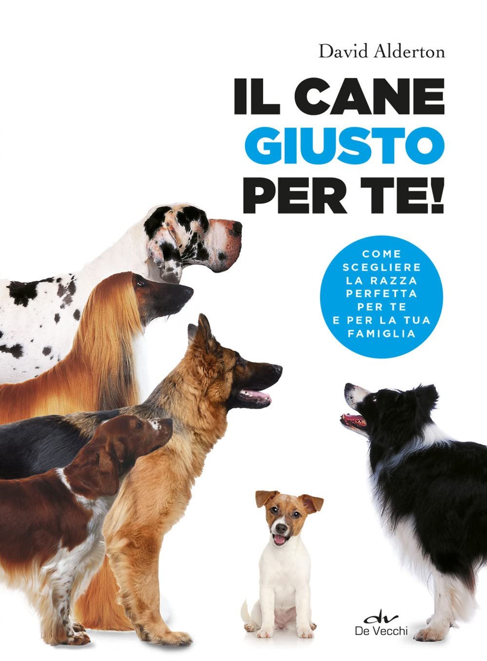 Il cane giusto per te!