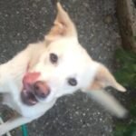 Foto del profilo di Roberta